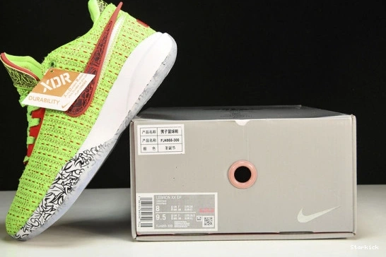 Stocking Stuffer  LeBron 20  FJ4955-300 Nike 0318